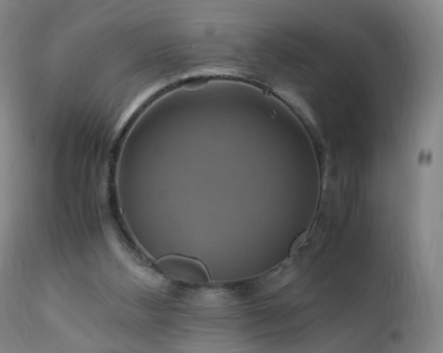 X0000110990108200906191436