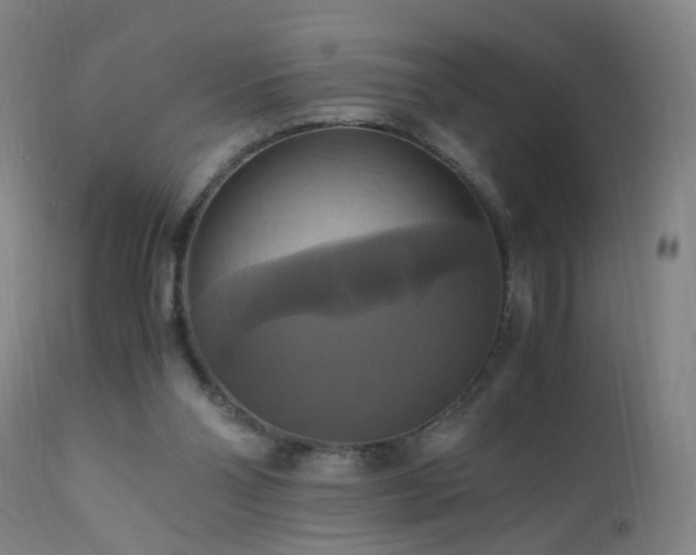 X0000110990110200906191436