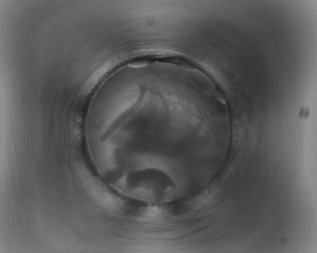 X0000110990111200906191436