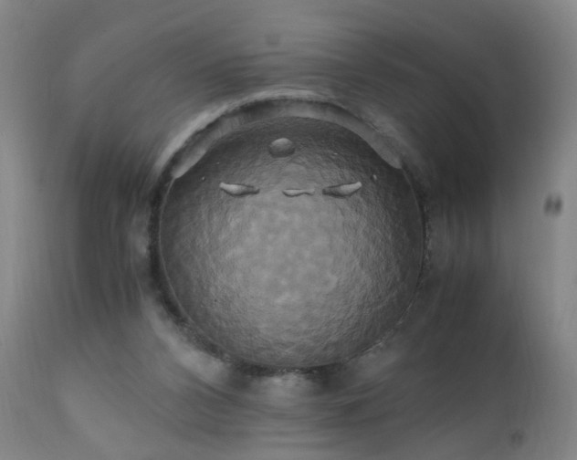 X0000110990112200906191436