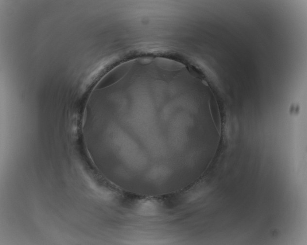 X0000110990115200906191436