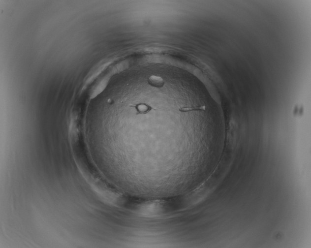 X0000110990116200906191436