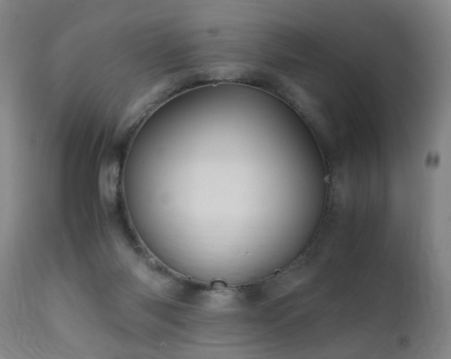 X0000110990118200906191436