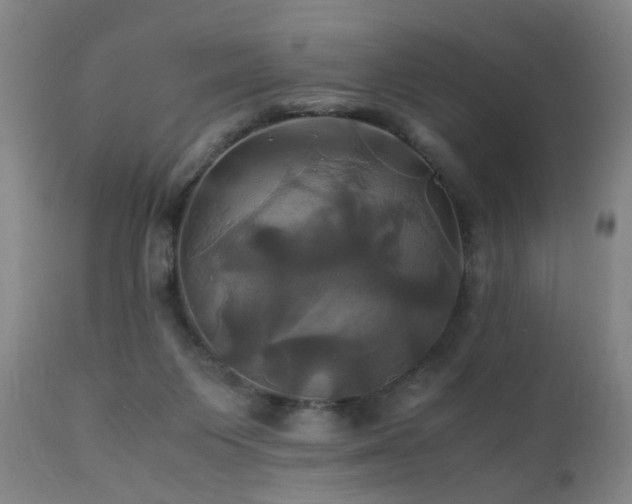 X0000110990119200906191436