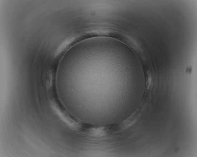 X0000110990120200906191436