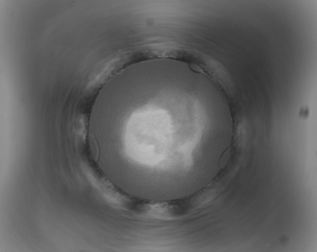 X0000110990121200906191436