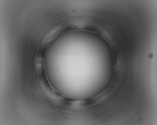 X0000110990122200906191436