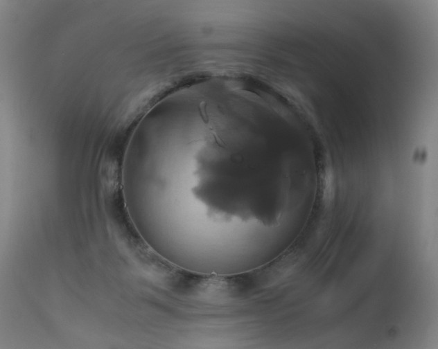 X0000110990123200906191436