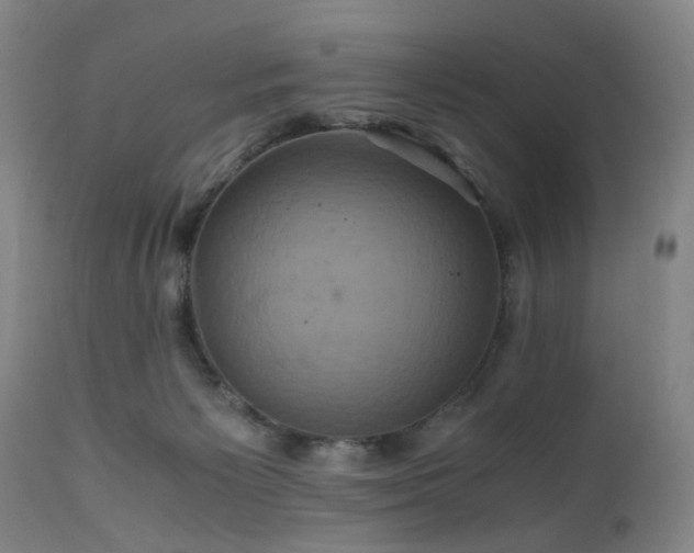 X0000110990125200906191436