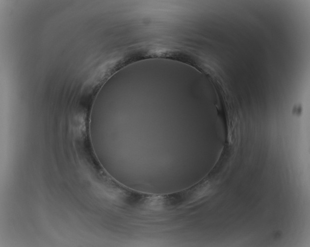 X0000110990127200906191436