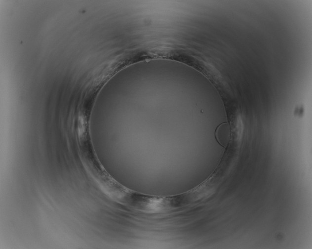 X0000110990130200906191436