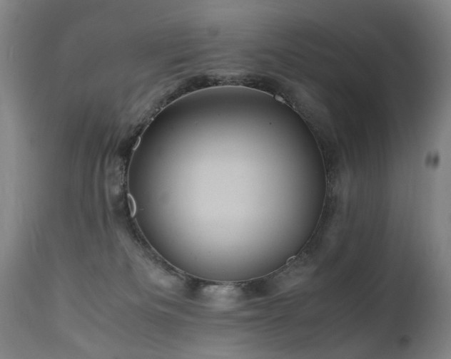 X0000110990133200906191436