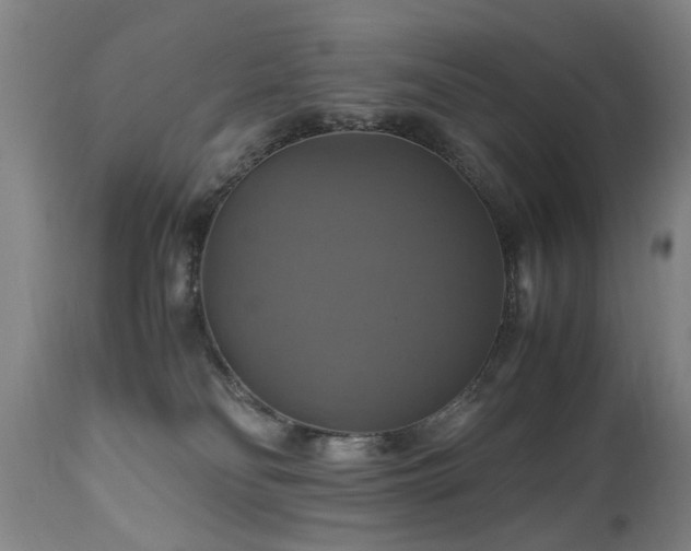 X0000110990134200906191436
