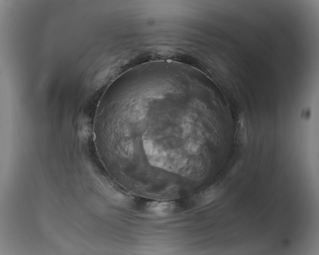 X0000110990135200906191436