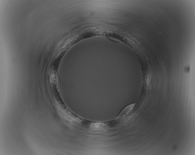 X0000110990137200906191436