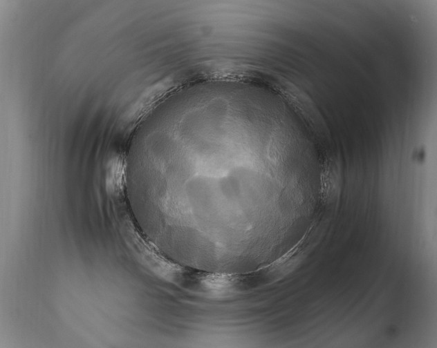 X0000110990142200906191436