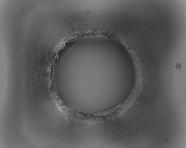 X0000110990144200906191436