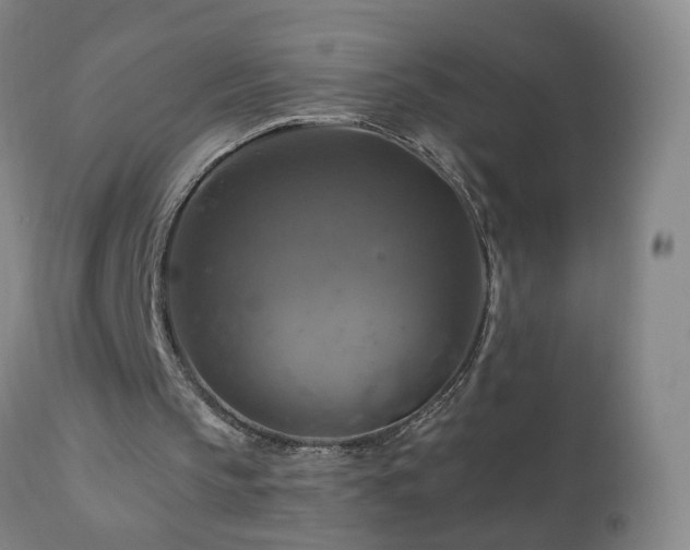 X0000110990145200906191435