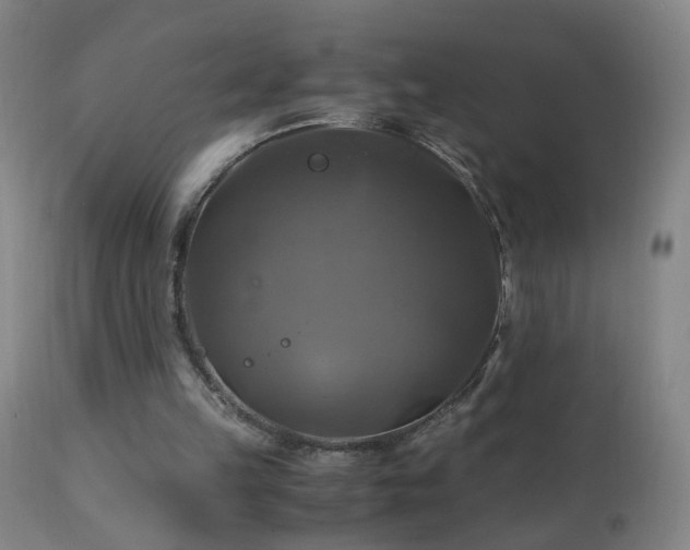 X0000110990149200906191435
