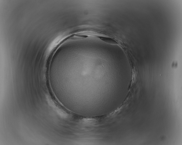X0000110990150200906191435