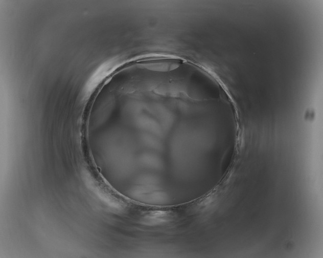 X0000110990151200906191435