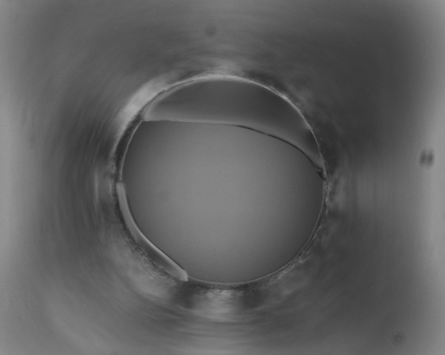 X0000110990152200906191435