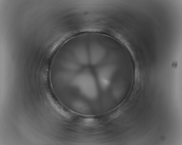 X0000110990153200906191435