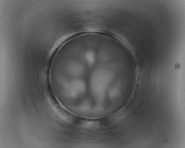 X0000110990155200906191435