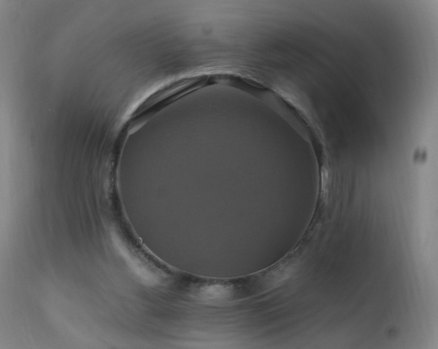 X0000110990156200906191435