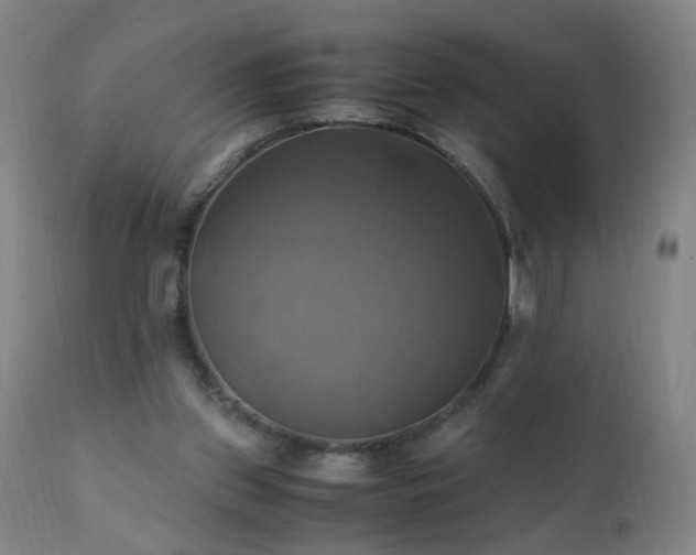 X0000110990157200906191435