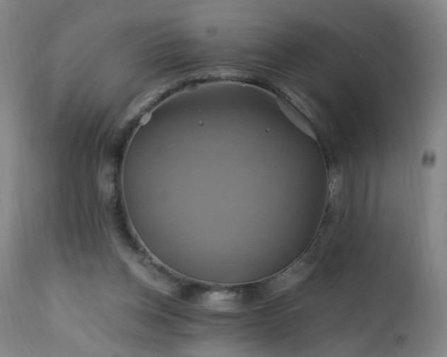 X0000110990158200906191435