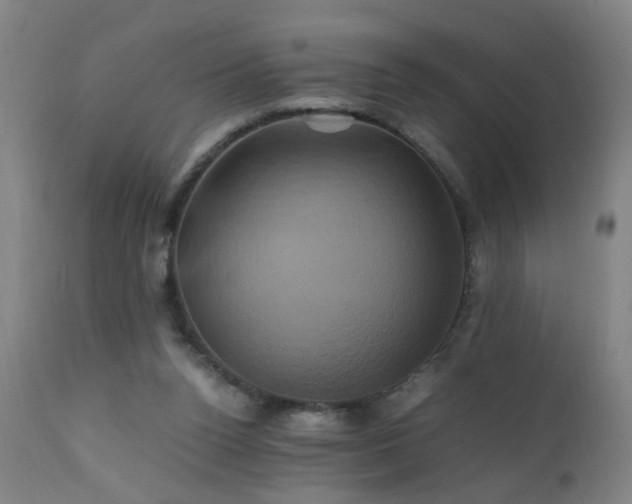 X0000110990160200906191435