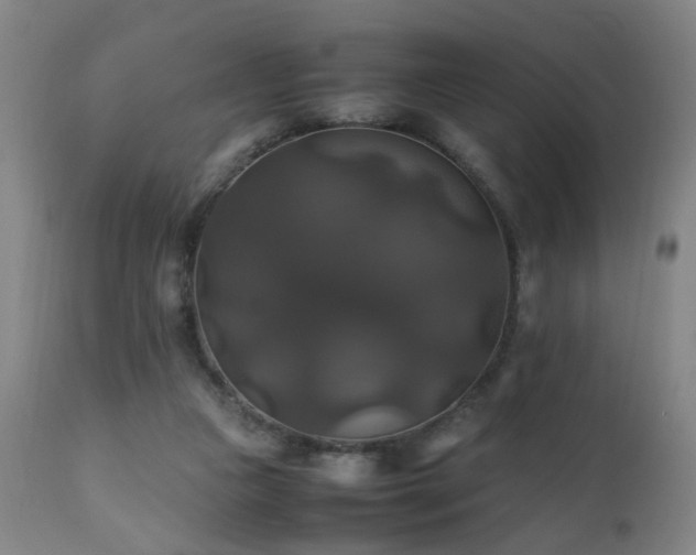 X0000110990161200906191435