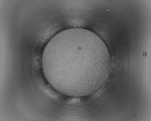X0000110990162200906191435