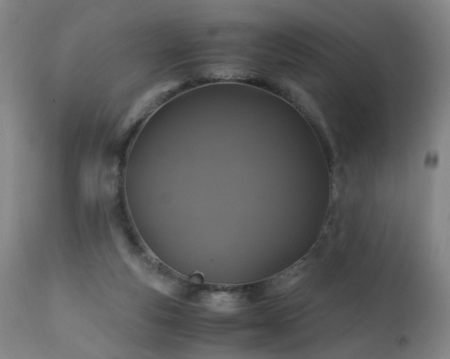 X0000110990163200906191435