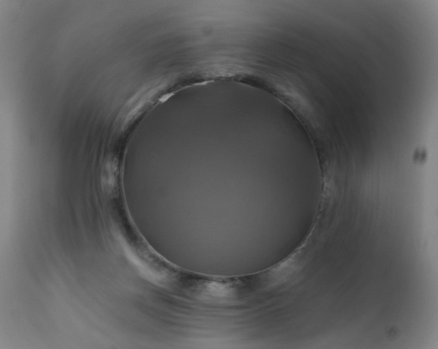 X0000110990166200906191435
