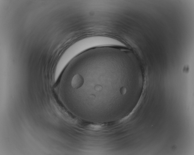 X0000110990170200906191435