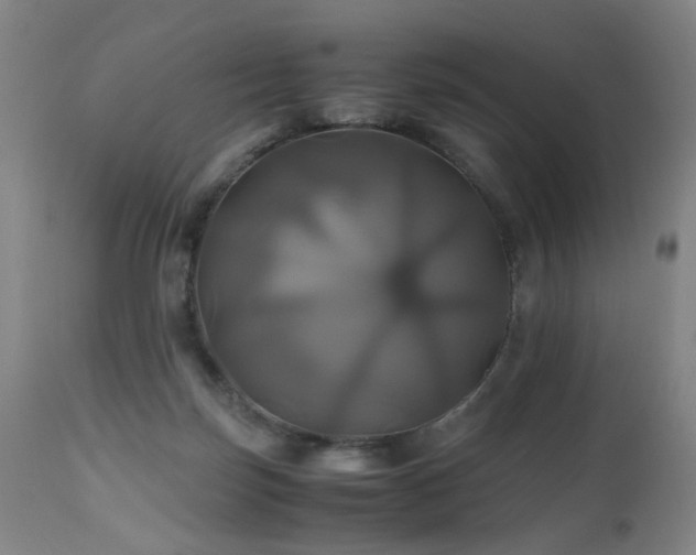 X0000110990171200906191435