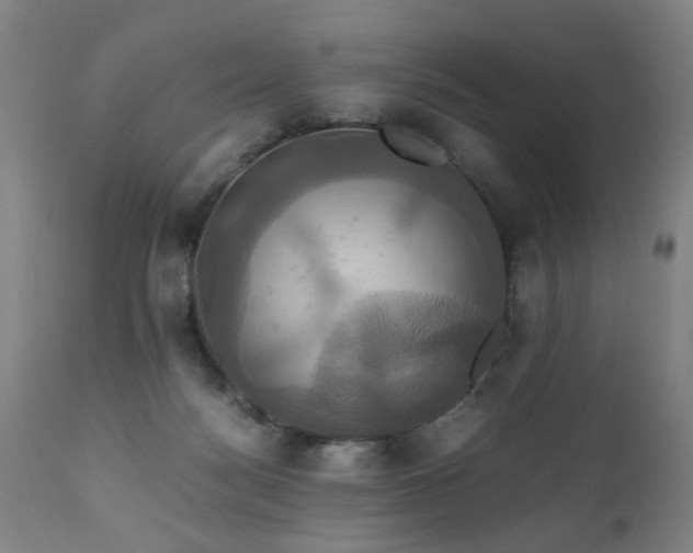 X0000110990172200906191435