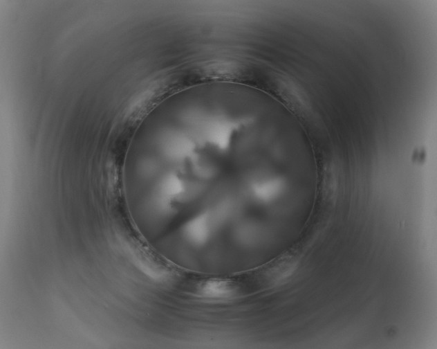 X0000110990173200906191435