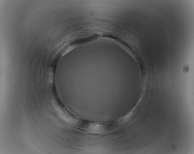 X0000110990174200906191435