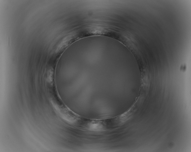 X0000110990175200906191435