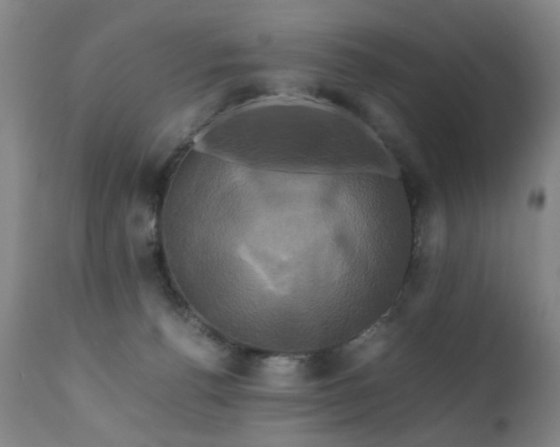 X0000110990176200906191435