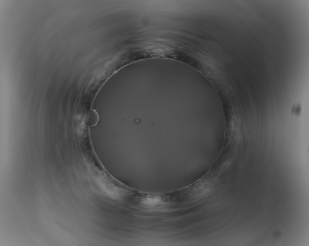 X0000110990177200906191435