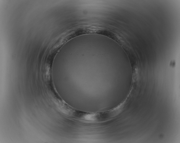 X0000110990178200906191435
