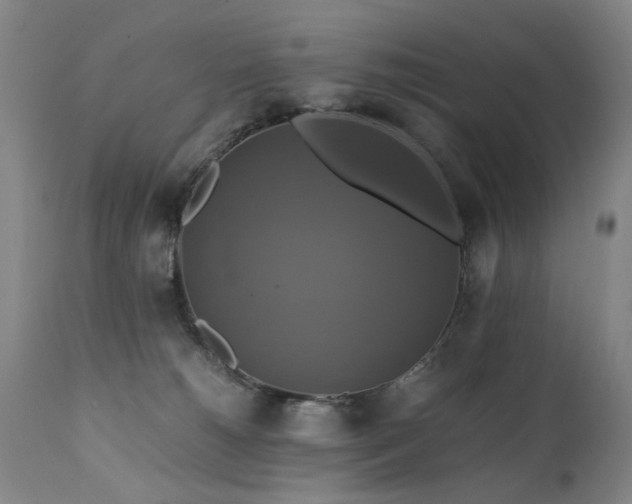 X0000110990180200906191435