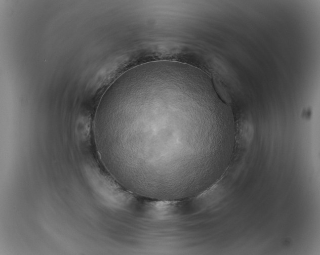 X0000110990184200906191436