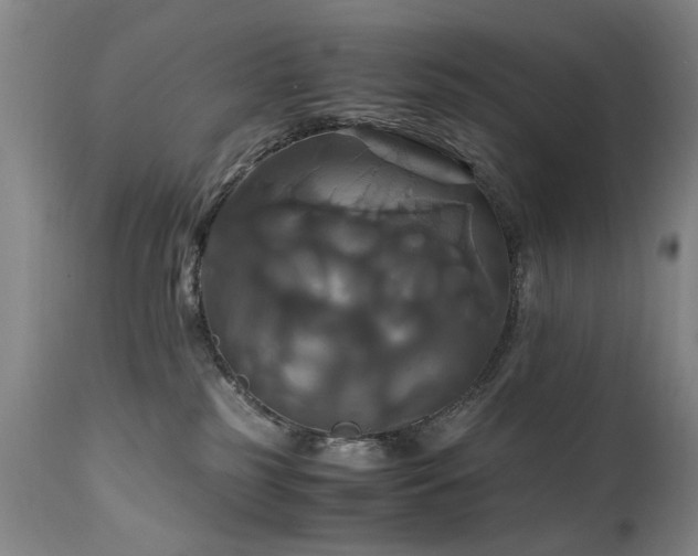 X0000110990185200906191436
