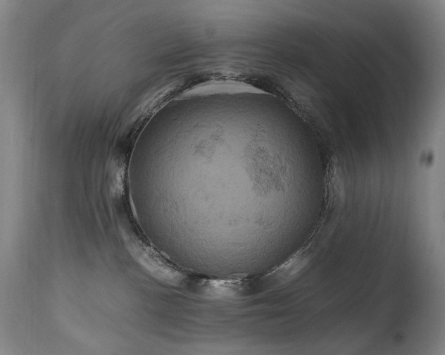 X0000110990188200906191436