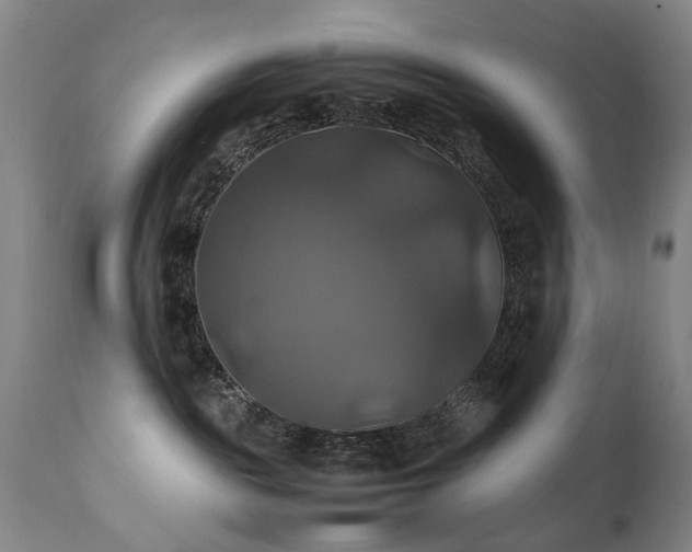 X0000110990189200906191436